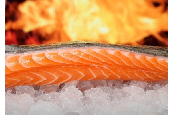 Déjeuner du Mardi: Menu Poisson