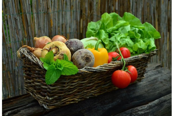 Déjeuner du Mardi: Menu Végétarien